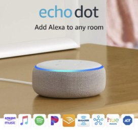 Score a Amazon Echo Dot