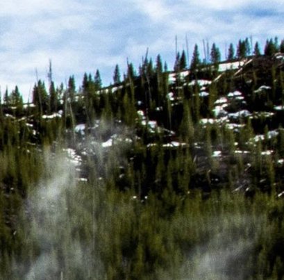 See the Wonders of Yellowstone National Park Sweepstakes