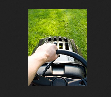 Seeing Green Again Sweepstakes