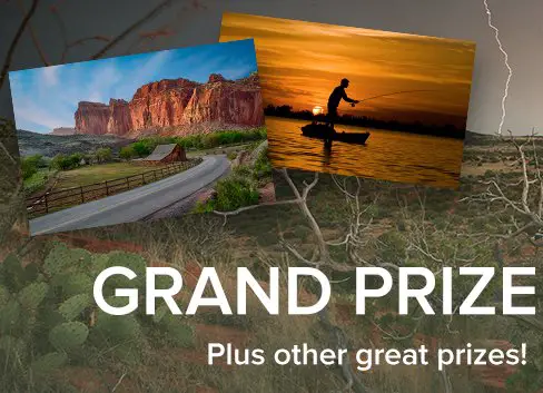 Share The Experience 2016 Contest!