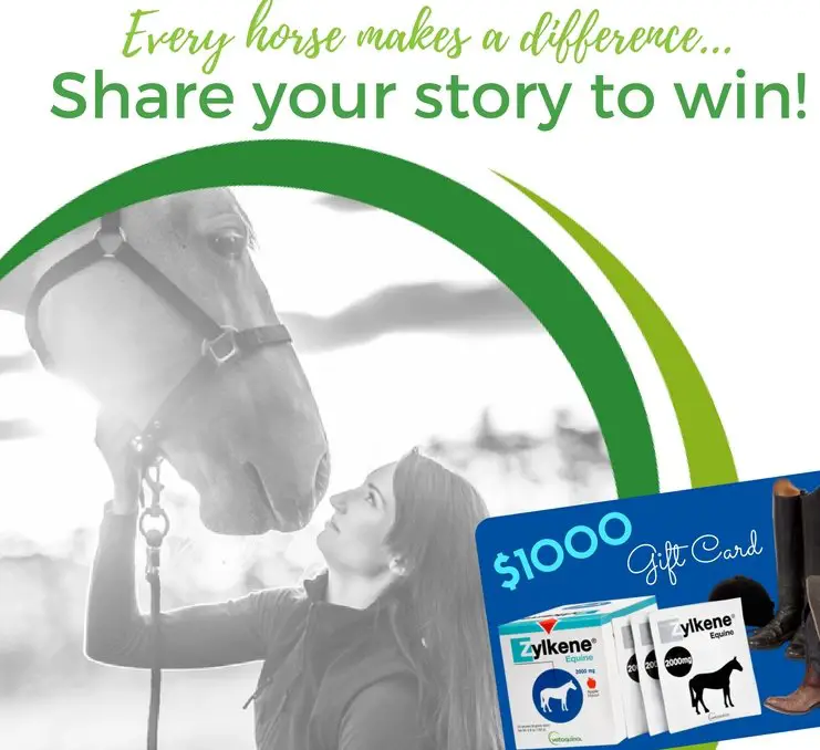Share Your Horse Story for a $1,000 Gift Card!