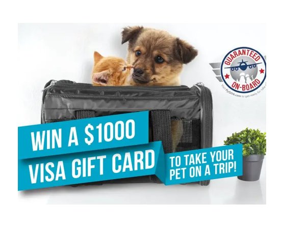 Sherpa Pet $1,000 Visa Gift Card Sweepstakes - Win A $1,000 Visa Gift Card