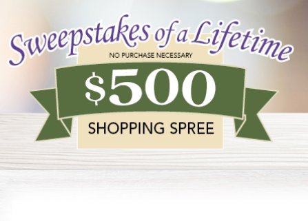 Shopping Spree Sweepstakes