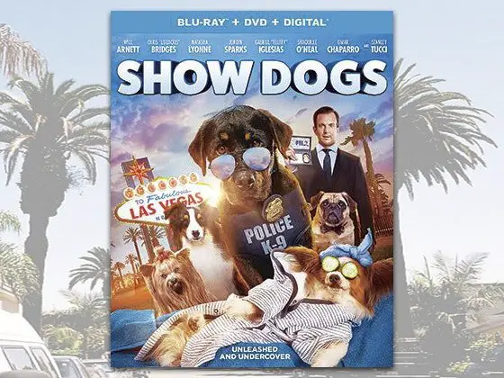 Show Dogs Sweepstakes