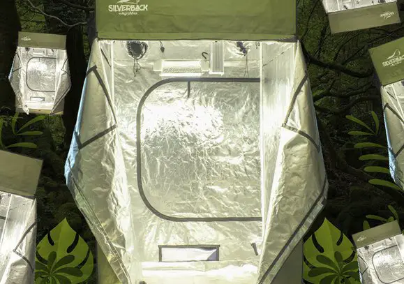 Silverback Tent Giveaway