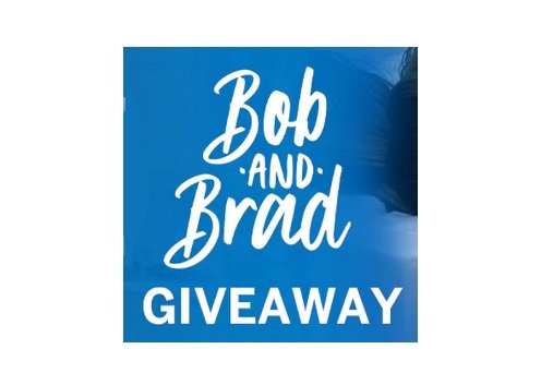 SleepOvation Bob and Brad Giveaway - Win a Brand New Mattress and Two Pillows