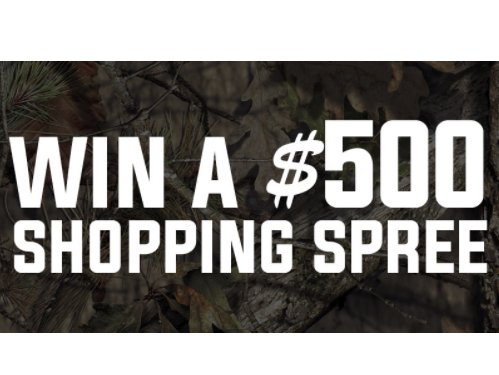 Sphl Shopping Spree Giveaway