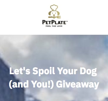 Spoil Your Dog and You Sweepstakes