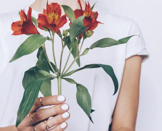 Spring Awakening Sweepstakes