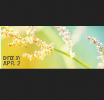 Spring Fever Sweepstakes