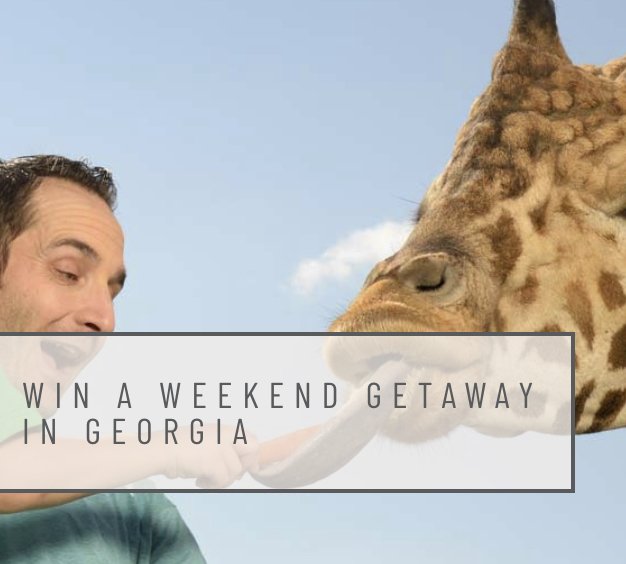 Spring PeachScapes Sweepstakes