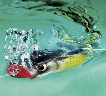 SPRO Bronzeye Spit Shad Giveaway