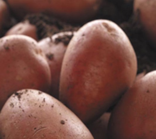 St. Patrick Trip for 2 to Dublin, Ireland