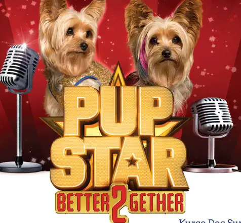 St Pete/Clearwater Vacation Giveaway