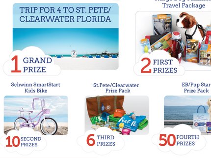 St. Petersburg/Clearwater FL Sweepstakes