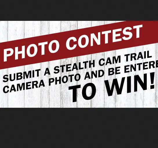 Stealth Cam Photo Giveaway