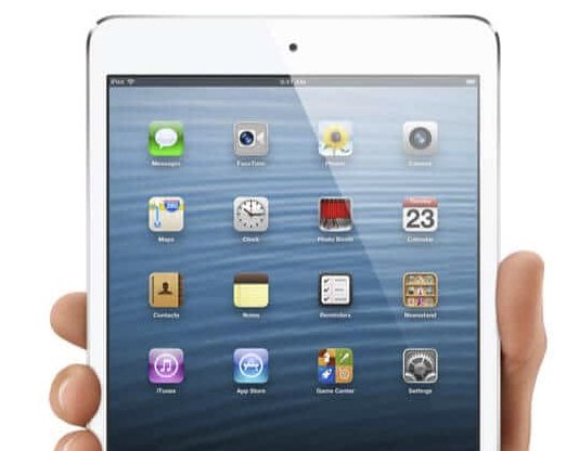 Steamy Kitchen Apple iPad Mini Giveaway