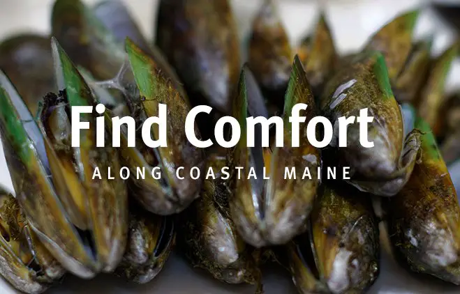 Stressless 2016 - Free Trip to Coastal Maine