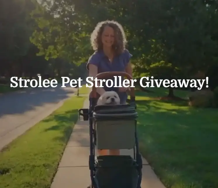 Strolee Pet Stroller Giveaway - Win A Strolee Pet Stroller (2 Winners)