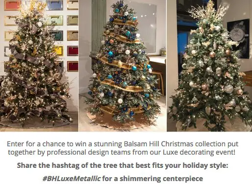 Styles of the Season Sweepstakes