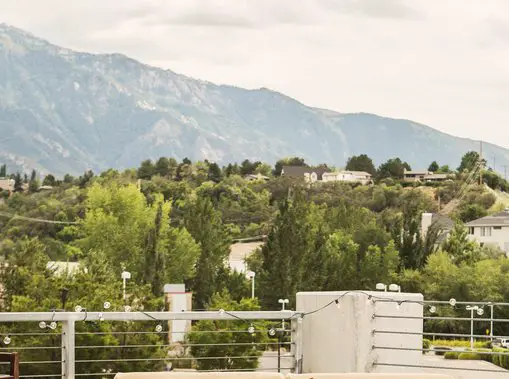 Summer Dreams Sweepstakes