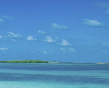 Summer Rum 2018 Sweepstakes