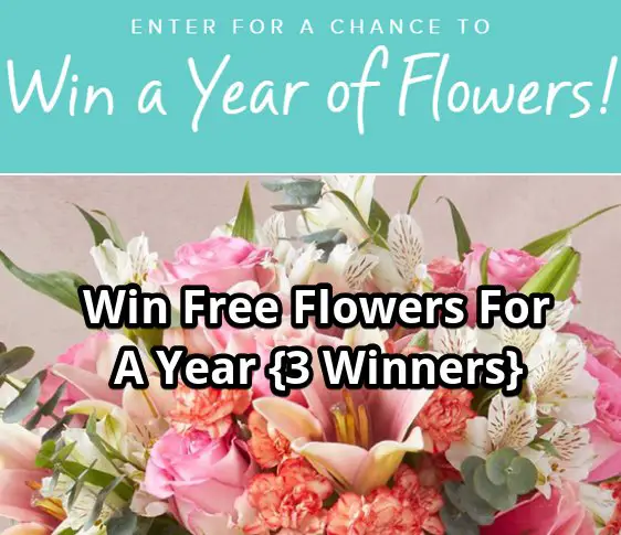 Sunny with a Chance of Flowers Choose to Bloom Sweepstakes - Win Free Flowers For A Year {3 Winners}