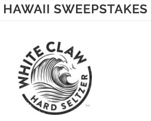 Surf Trip to Hawaii Sweepstakes