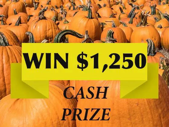 Sweepon Win $1250 in Free Cash