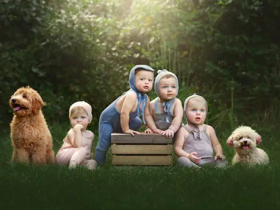 Sweepon Win $150 to Feltman Brothers