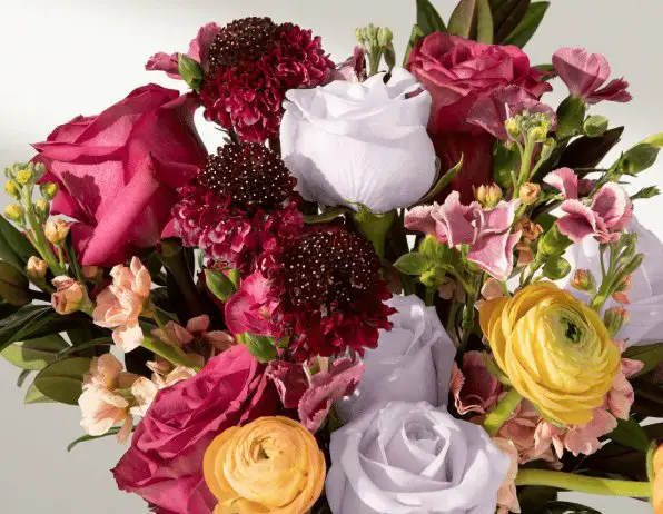 T-Mobile Tuesdays Sweepstakes - $100 The Bouqs Gift Card For Fresh Flowers, 75 Winners