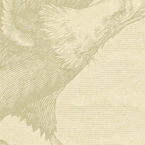 Tailgate Sweepstakes