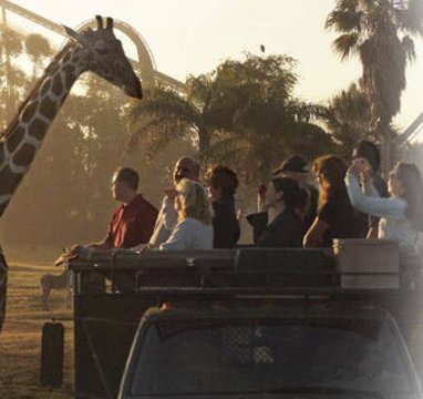 Tampa Bay Trip Contest