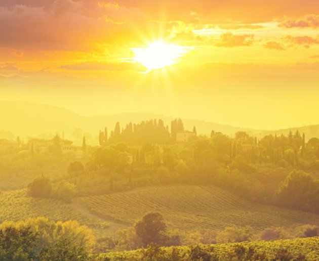 Tasting Table Digital Italy Sweepstakes