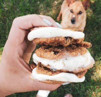 Tate's Bake Shop Share a Bag of Tates Sweepstakes
