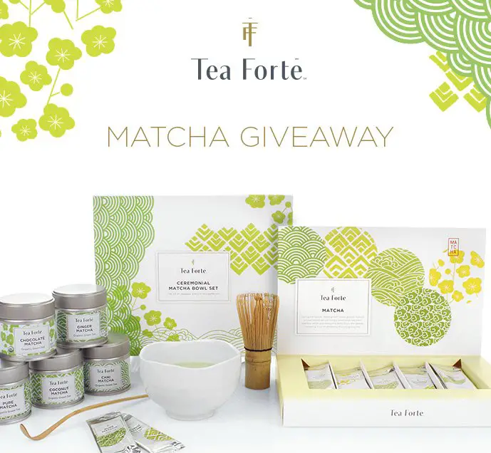 Tea Forte Matcha