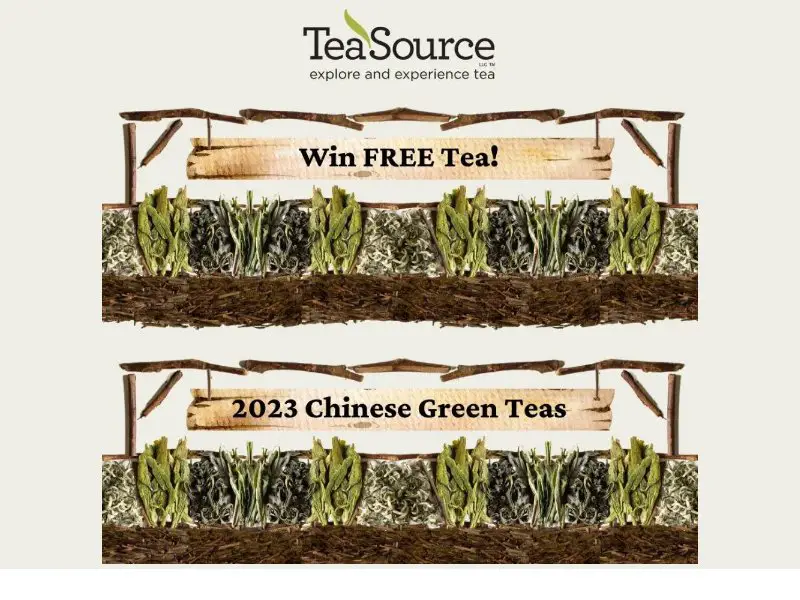 TeaSource Chinese Green Tea Giveaway - Win Green Tea In Different Flavors & A $100 Gift Card