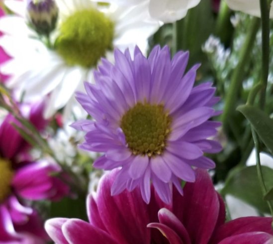 Teleflora Mother's Day Bouquet Giveaway Rural Mom