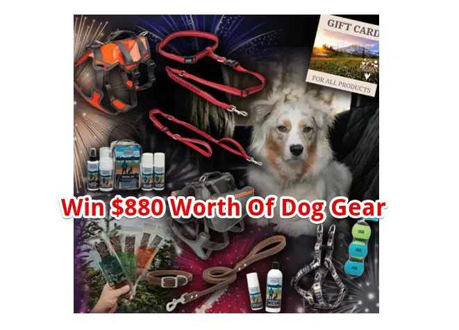 Terrain DOG New Year's Dog Gear Giveaway - Win $880 Worth Of Gear