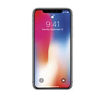 The $1 iPhone X Challenge