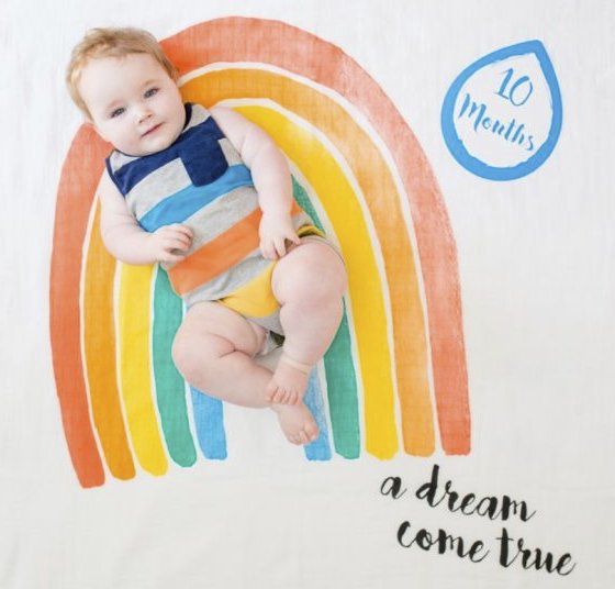 The Baby's First Year Blanket & Card Set