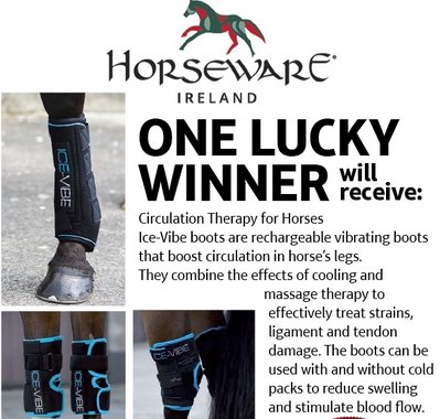The Barrel Horse News April Giveaway