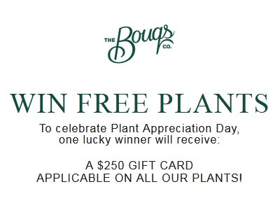 The Bouqs Company Plant Appreciation Day Sweepstakes - Win A $250 Gift Card