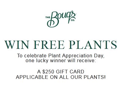 The Bouqs Company Plant Appreciation Day Sweepstakes - Win A $250 Gift Card