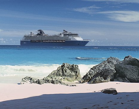 The Celebrity Revolution Sweepstakes