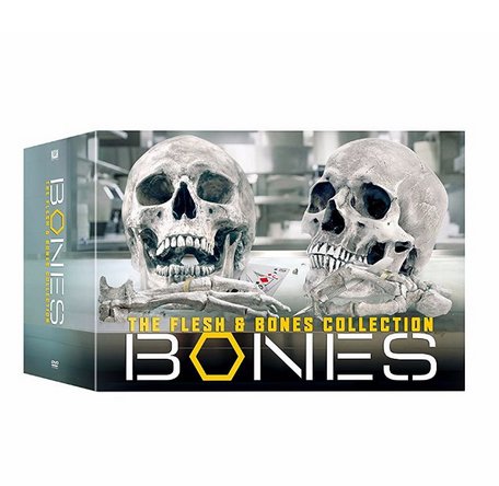 The Flesh & Bones Collection Seasons 1-12 DVD Set