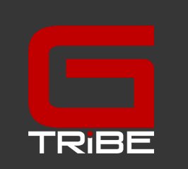 The Immortal Giveaway from GTRiBE