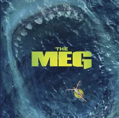 The Meg Sweepstakes