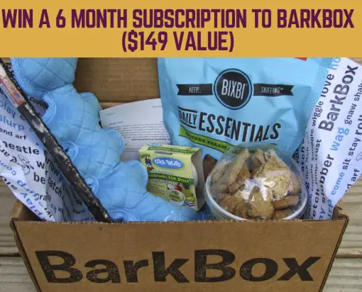 The Pawsitive Co 6 Month BarkBox