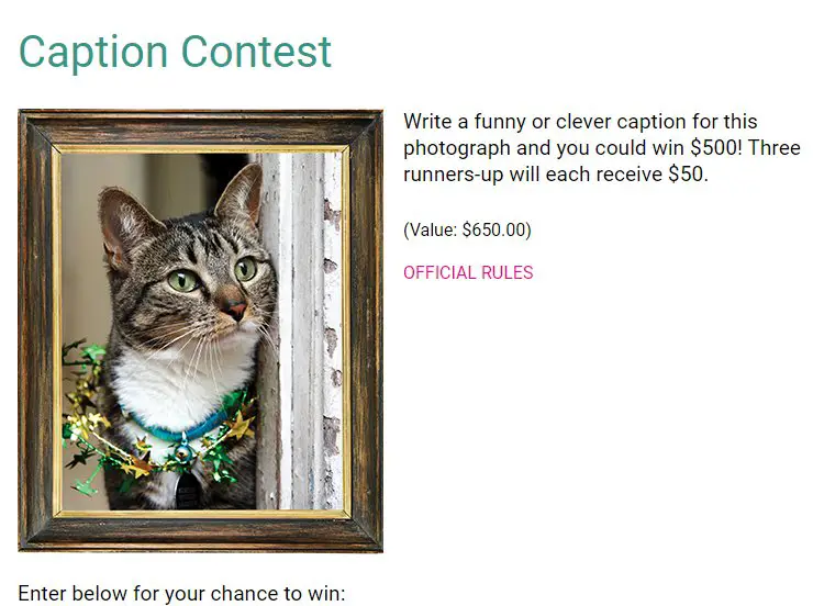 The Pioneer Woman Magazine Holiday Caption Contest - Win $500 Cash
